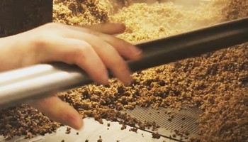 23.05.und 8.08. Biertasting mit Brauereibesichtigung 23.05.und 8.08. Biertasting mit Brauereibesichtigung